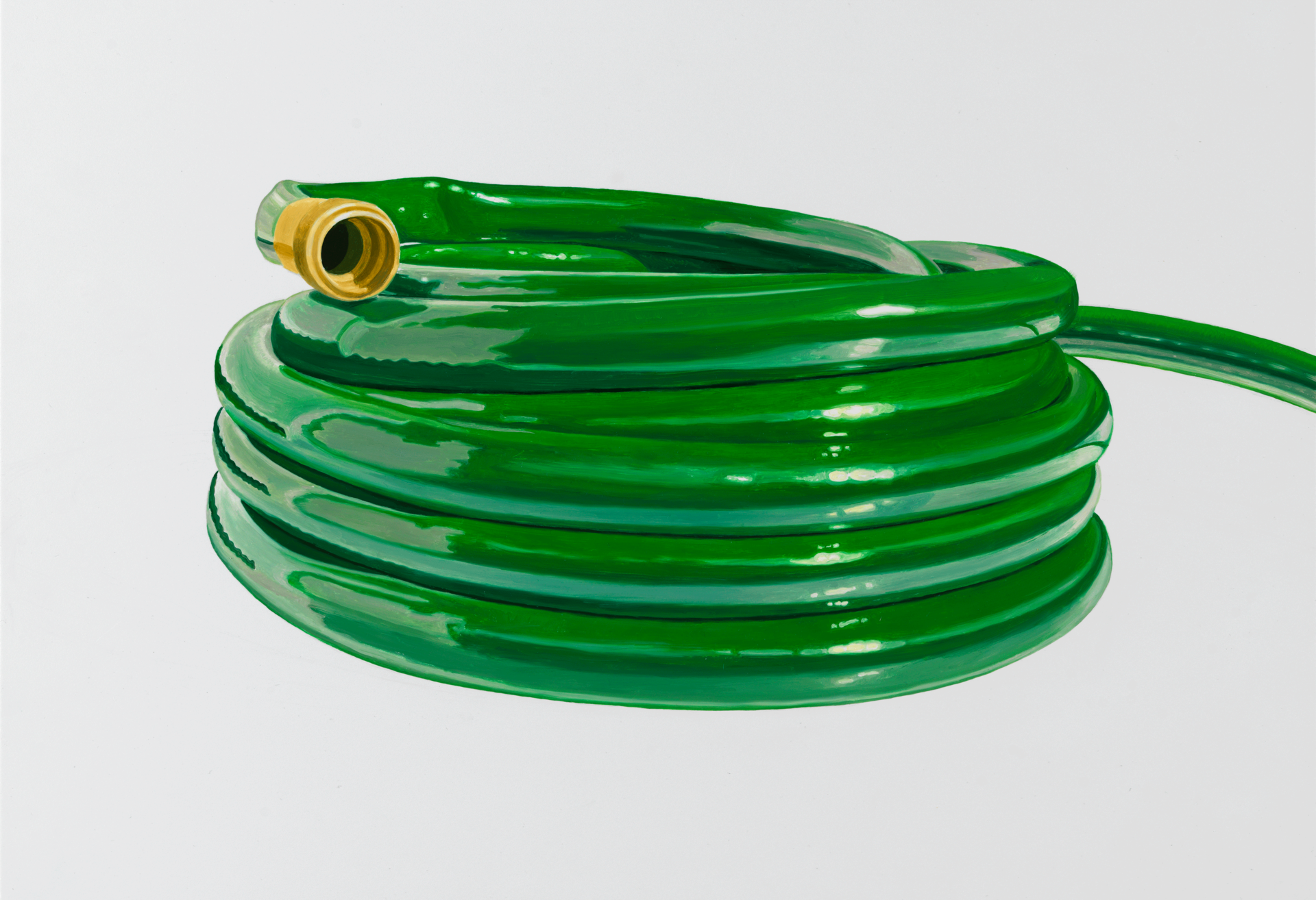 Oil painting of a coiled green garden hose  on a white background