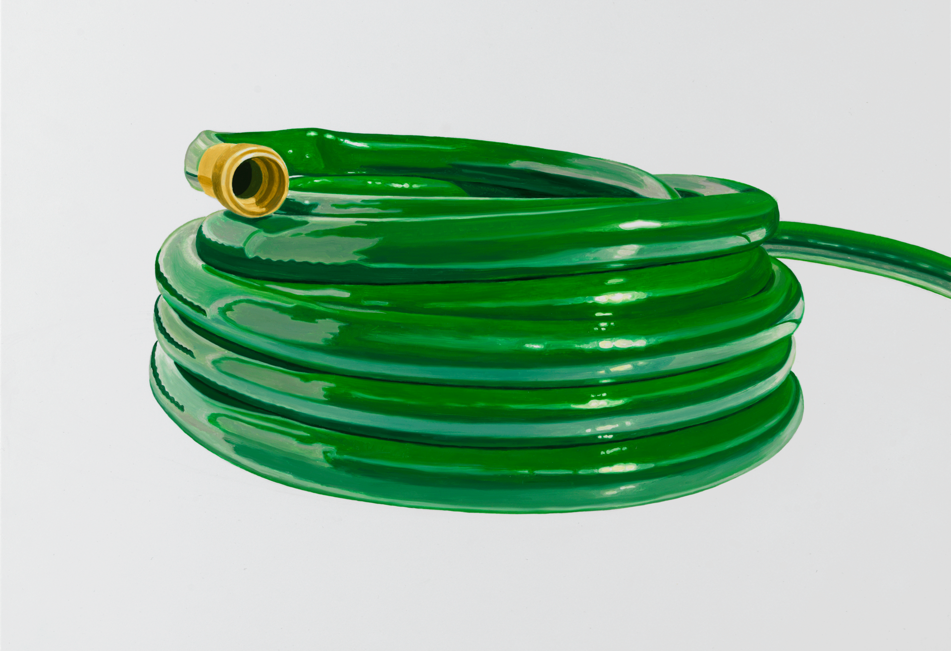Oil painting of a coiled green garden hose  on a white background