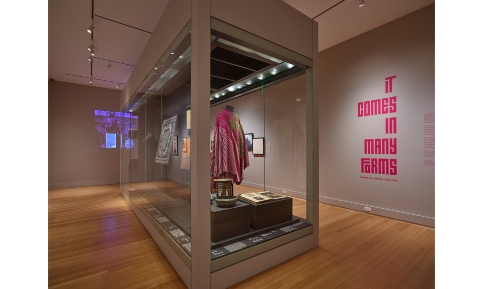 A large case stands in a light-gray gallery with wooden floors. Inside the case are a number of textiles. Magenta text on the wall says: “It Comes in Many Forms”