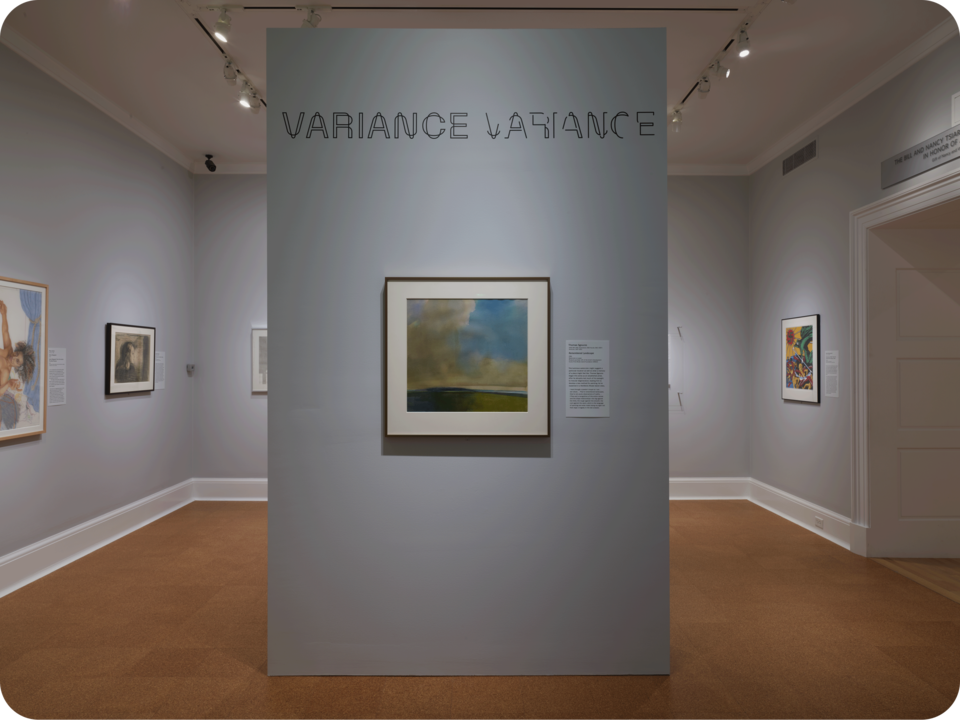 Exhibit documentation. A center room divider reads “VARIANCE VARIANCE” and displays a landscape painting. Behind the divider are walls displaying paintings in different styles. 
