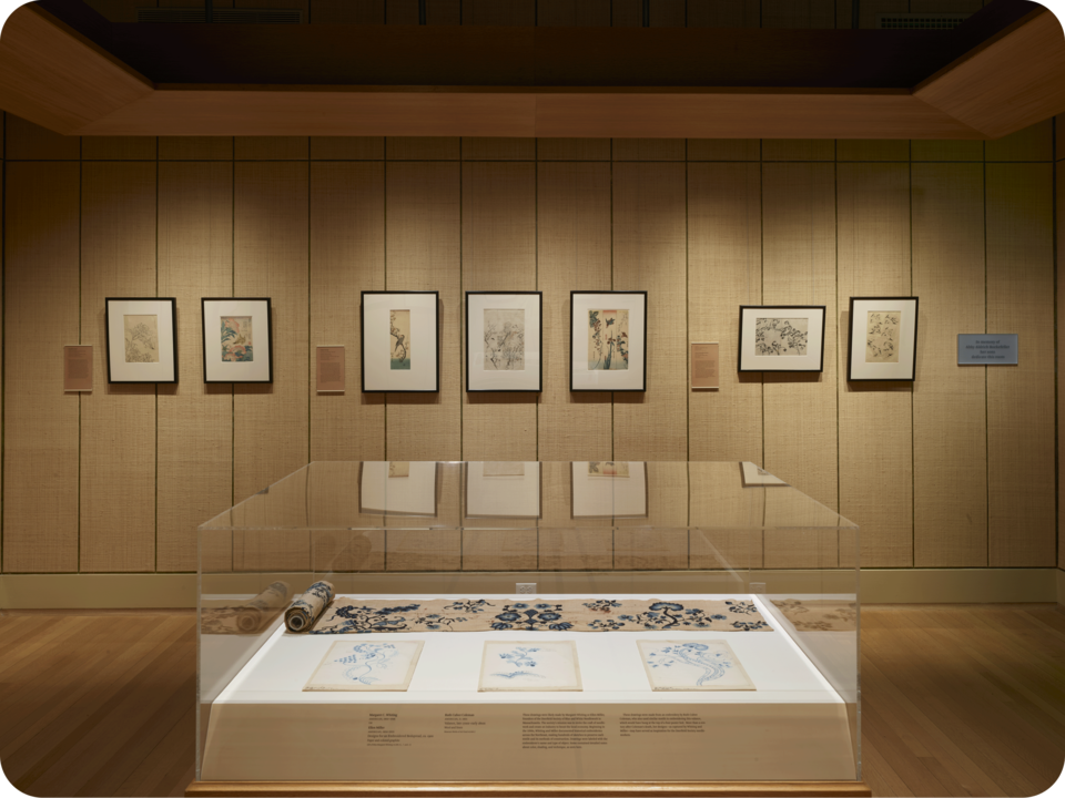 Exhibition documentation. A textile work is encased in a glass box. Behind it is a row of framed prints featuring various natural motifs. The wall and floor are both brown. 