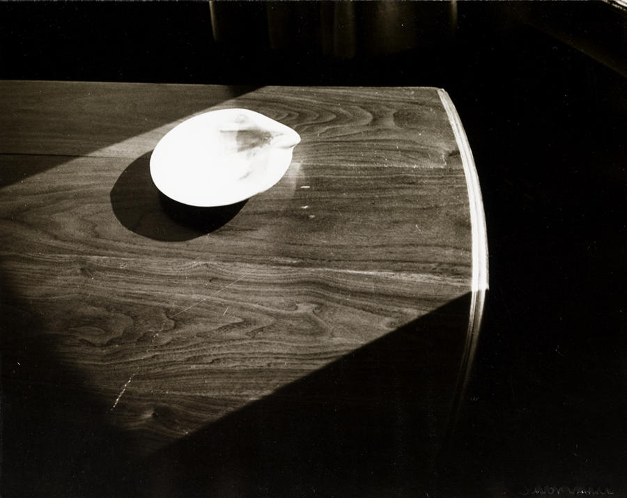 Clamshell RISD Museum