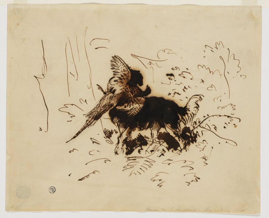 Dog Carrying Pheasant RISD Museum
