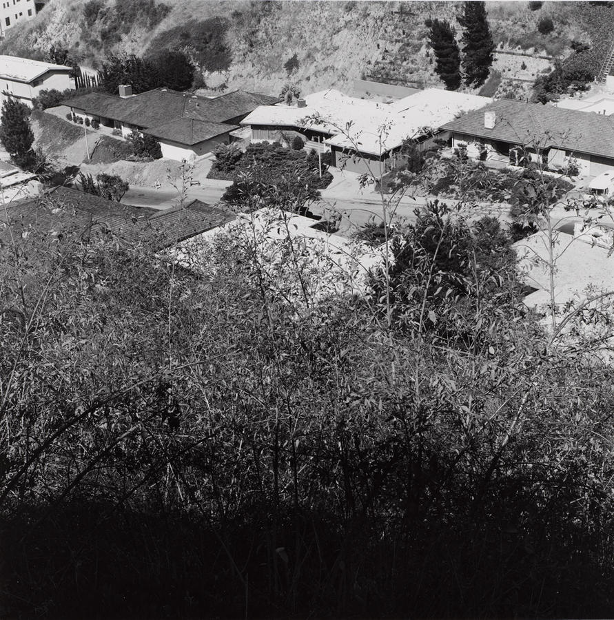 Baldwin Hills, California RISD Museum