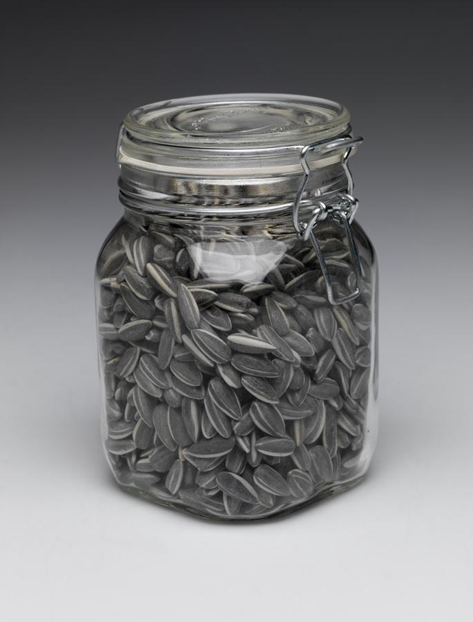 Kui Hua Zi (Sun Flower Seeds) RISD Museum