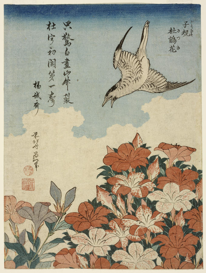 Cuckoo and azaleas (Hototogisu satsuki) | RISD Museum