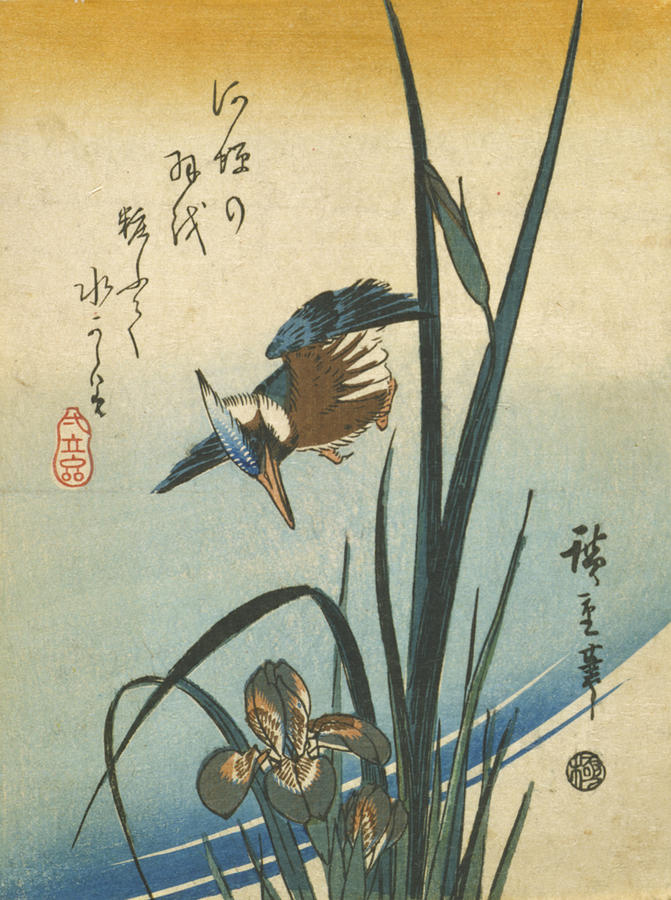 Kingfisher and sweet flag iris (Kakitsubata ni kawasemi) | RISD Museum